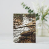 静かな森の滝 ポストカード (スタンド正面)