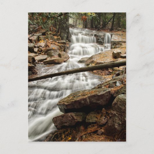 静かな森の滝 ポストカード (正面)