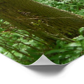 静かな森林ポスター ポスター (角)