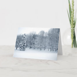 静かな森 シーズンカード