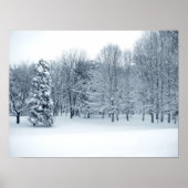 静かな森 ポスター (正面)