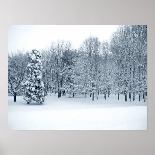 静かな森 ポスター (正面)