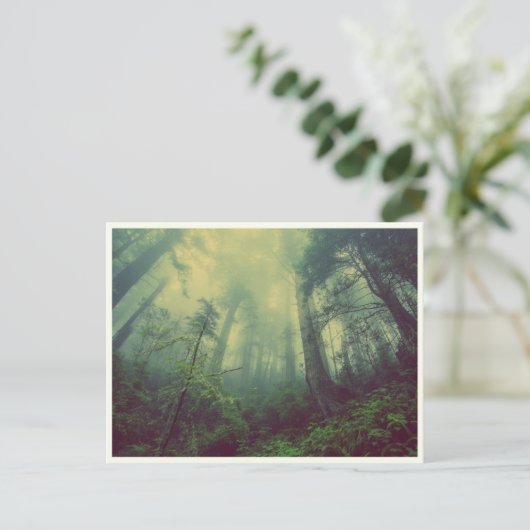 静かな森 ポストカード (スタンド正面)