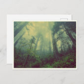 静かな森 ポストカード (正面/裏面)