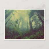 静かな森 ポストカード (正面)