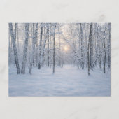 静かな樺の森の冬の陽光 エンクロージャーカード (正面)