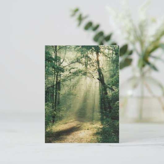 静かな歩道 ポストカード (スタンド正面)