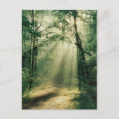 静かな歩道 ポストカード (正面)