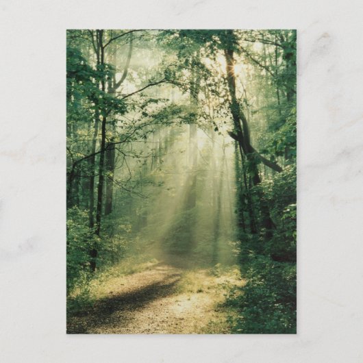 静かな歩道 ポストカード (正面)