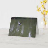 静かな水挨拶状上の鷲 カード (黄色い花)