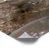 静かな海ポスター ポスター (角)