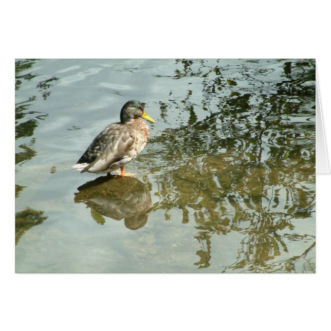 静かな海 | (正面横)