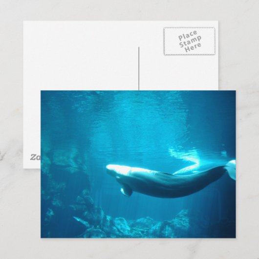 静かな海 ポストカード (正面/裏面)