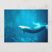 静かな海 ポストカード (正面)