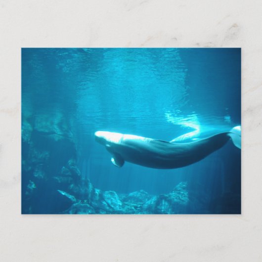 静かな海 ポストカード (正面)