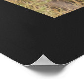 静かな熟考でチーターパーソナライズ文字 ポスター (角)