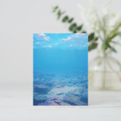静かな熱帯のサンゴ礁の水中世界 ポストカード (スタンド正面)