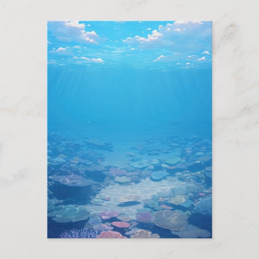 静かな熱帯のサンゴ礁の水中世界 ポストカード (正面)