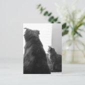 静かな瞬間を共有する ポストカード (スタンド正面)