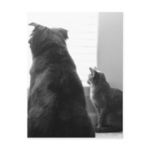 静かな瞬間を共有する