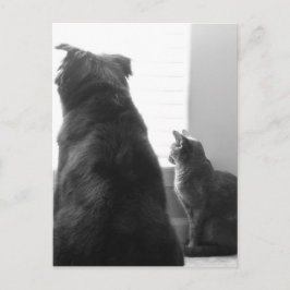 静かな瞬間を共有する ポストカード