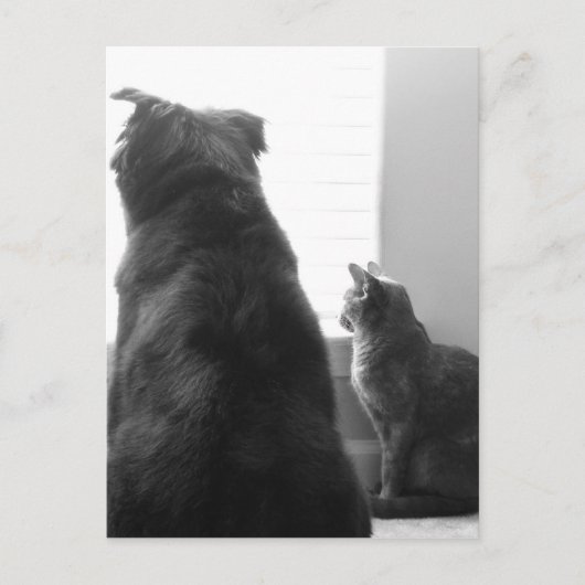 静かな瞬間を共有する ポストカード (正面)