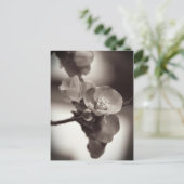 静かな美しい ポストカード (スタンド正面)