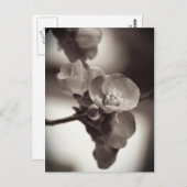 静かな美しい ポストカード (正面/裏面)