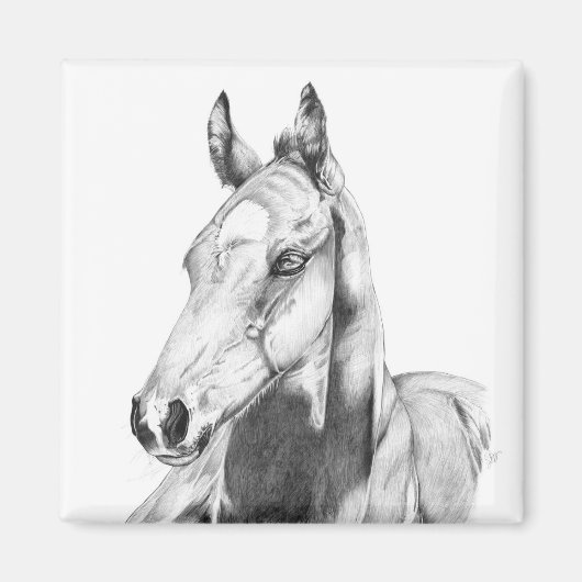 静かな視線 マグネット (正面)