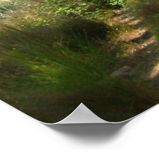 「静かな道」 ポスター (角)