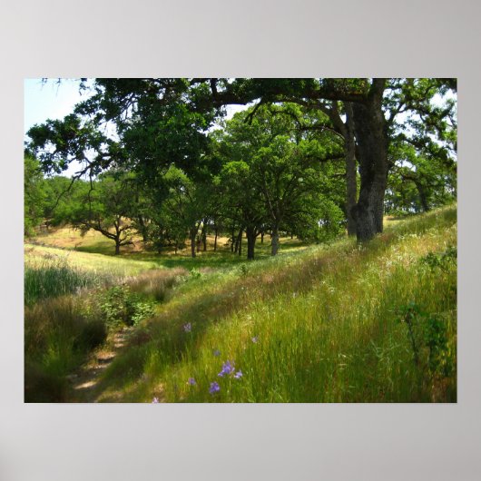 「静かな道」 ポスター (正面)