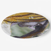 静かな間奏曲に落ちる ペーパープレート (アングル)