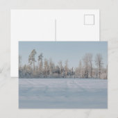 静かな雪景色の森の風景 ポストカード (正面/裏面)