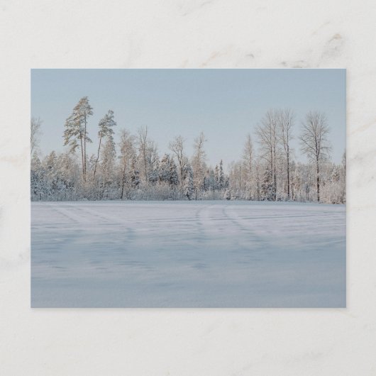 静かな雪景色の森の風景 ポストカード (正面)