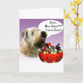 静かにテリアのハロウィン上塗を施してあるWheatenキャンデー カード (黄色い花)