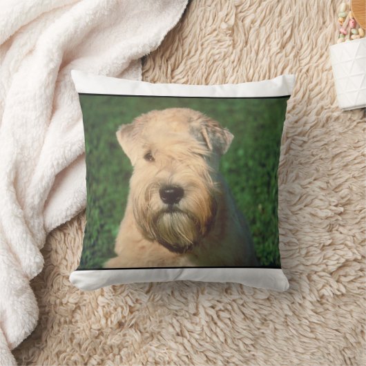 静かにテリアのMoJoの上塗を施してあるWheaten枕 クッション (ブランケット)