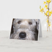 静かに上塗を施してあるWheatenテリア カード (黄色い花)