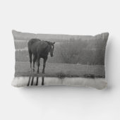 静かに反射する～馬の枕 ランバークッション (裏面)