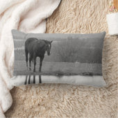静かに反射する～馬の枕 ランバークッション (ブランケット)