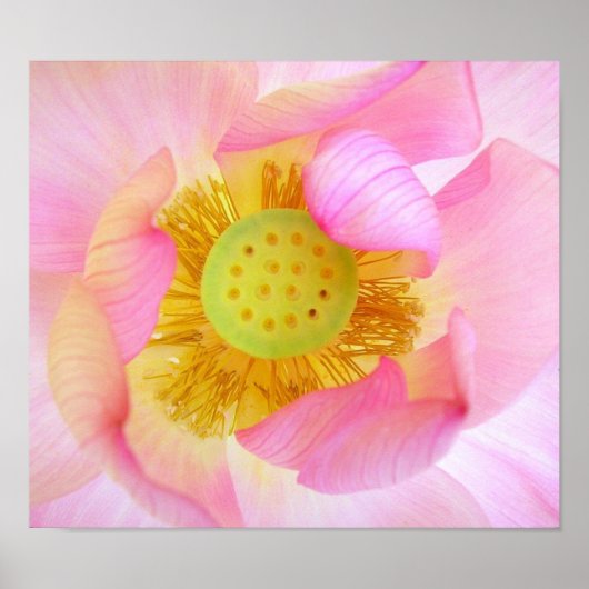 静かに守られている ポスター (正面)