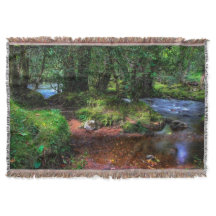 静かに川を流れる – Dartmoor国立公園