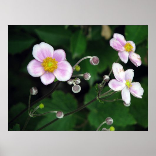 静かに ポスター (正面)