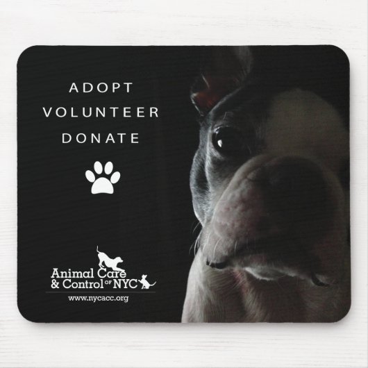 静かに"見るマウスパッド" マウスパッド (正面)