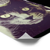 静か子猫 ポスター (角)