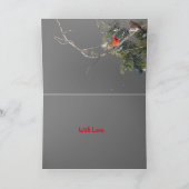 静か疑問に思クリスマスカード女性（鳥）ショウジョウコウカンチョウ サンキューカード (内部)