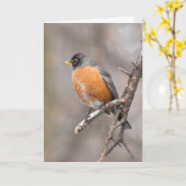 静か疑問に思空白のGREETING CARD Robin カード (黄色い花)
