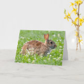 静か疑問に思空白のRabbitグリーティングカード カード (黄色い花)