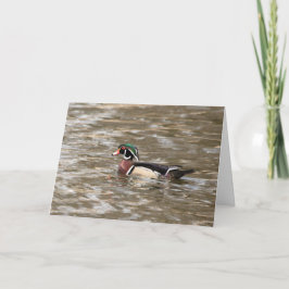 静か疑問に思空白のWood Duckグリーティングカード カード