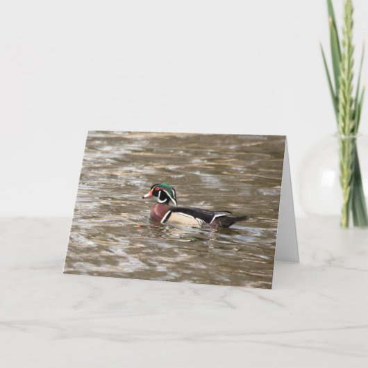 静か疑問に思空白のWood Duckグリーティングカード カード (正面)