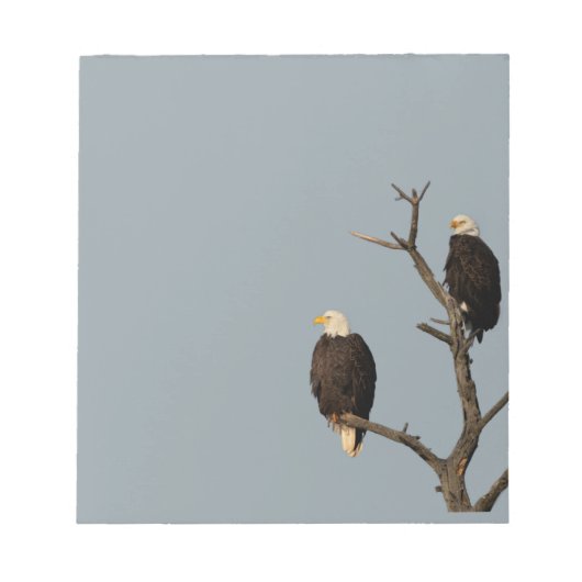 静か疑問に思Notepad Bald Eagles ノートパッド (正面)